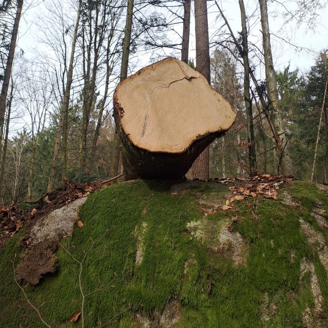 Streicher Lalling Ranzing Galabau Netzbau Photovoltaik Garten Brennholz
