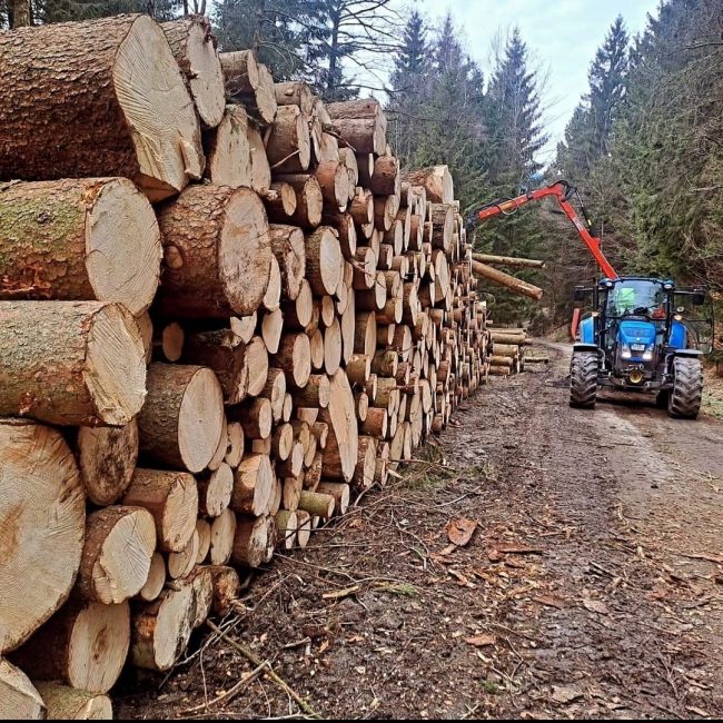 Streicher Lalling Ranzing Galabau Netzbau Photovoltaik Garten Brennholz