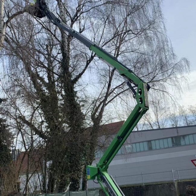 Streicher Lalling Ranzing Galabau Netzbau Photovoltaik Garten Brennholz
