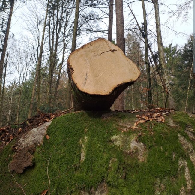 Streicher Lalling Ranzing Galabau Netzbau Photovoltaik Garten Brennholz