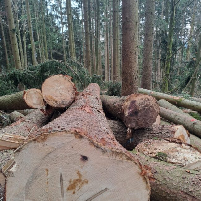 Streicher Lalling Ranzing Galabau Netzbau Photovoltaik Garten Brennholz