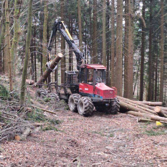 Streicher Lalling Ranzing Galabau Netzbau Photovoltaik Garten Brennholz