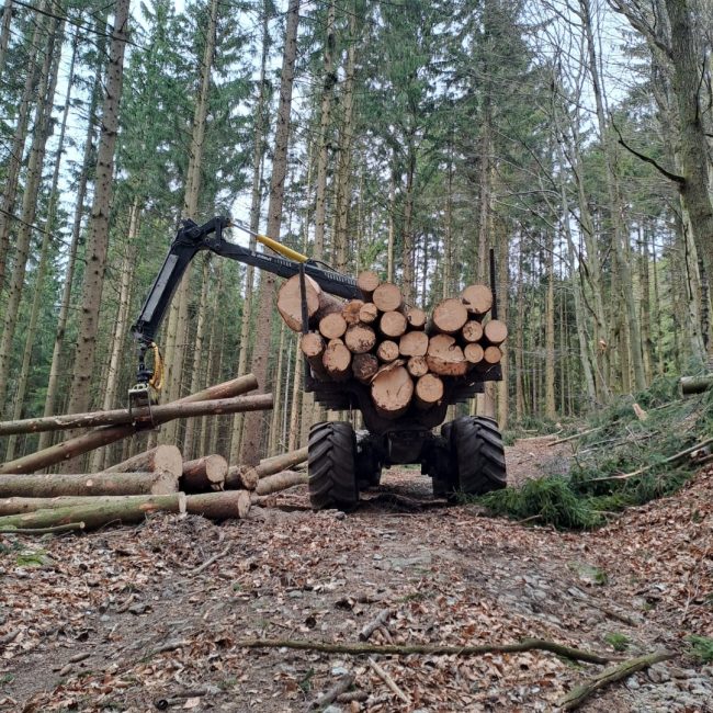 Streicher Lalling Ranzing Galabau Netzbau Photovoltaik Garten Brennholz